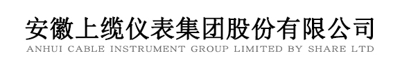 安徽上纜儀表集團股份有限公司（官網）